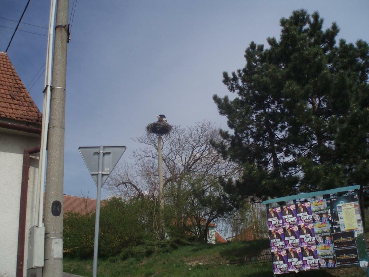 U Čápa Krásný apartmán v Sedleci Sedlec  Exterior foto